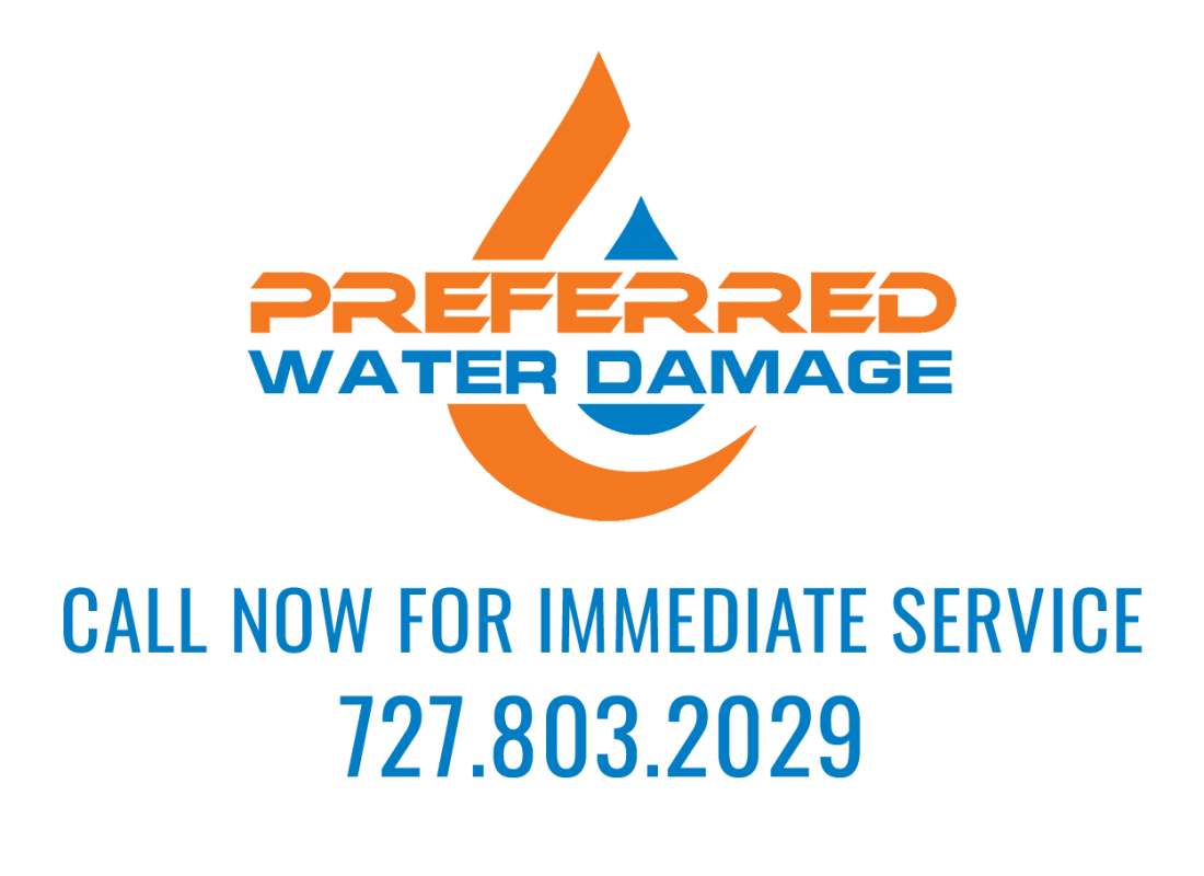 Preferred Water Damage Logo